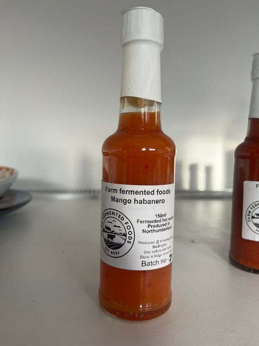 Mango habanero fermented hot sauce