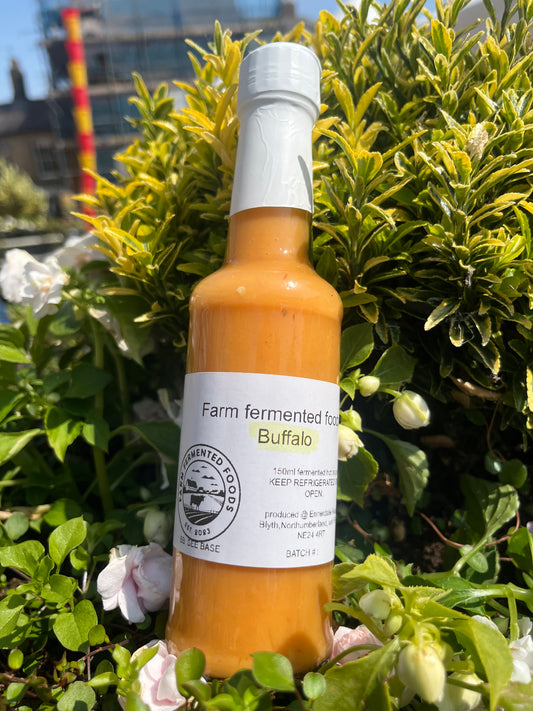 Buffalo hot sauce