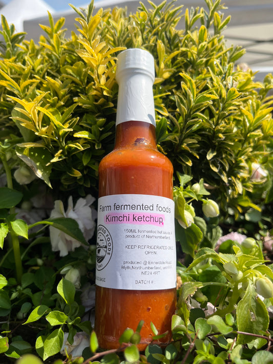 Kimchi ketchup