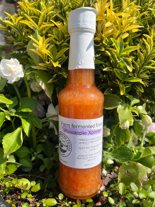 Pineapple xpress fermented hot sauce